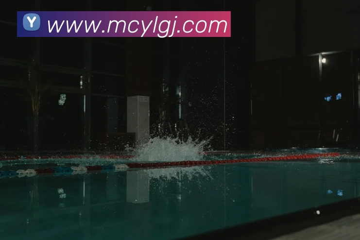 未来规划